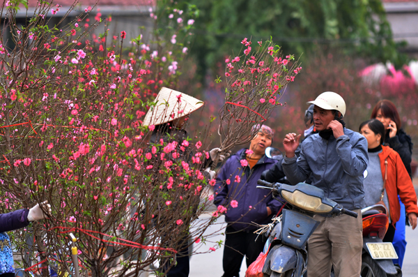 Những chợ hoa nổi tiếng Hà thành nên đến vào dịp Tết Nguyên đán 20194
