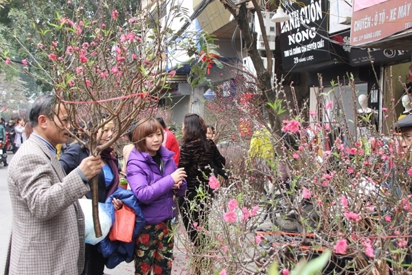 Những chợ hoa nổi tiếng Hà thành nên đến vào dịp Tết Nguyên đán 20195