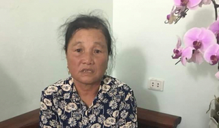 Nam Định: Bắt giữ đối tượng nữ trộm tài sản của du khách tại Phủ Dầy 