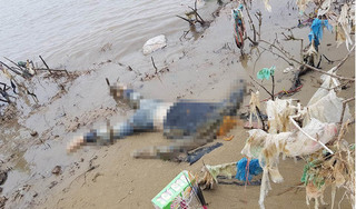 Thanh Hóa: Phát hiện thi thể nữ giới đang phân hủy mạnh trên sông Yên