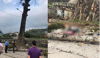 Danh tính nam thanh niên bị cành cây rơi trúng tử vong ở Hà Giang