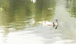 Hà Nam: Phát hiện thi thể người đàn ông trên sông Đáy