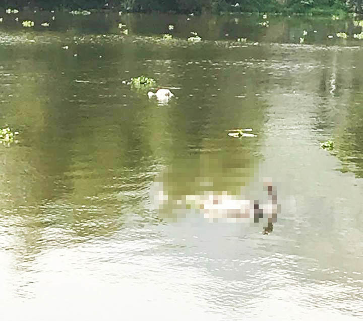 Hiện trường phát hiện thi thể người đàn ông trên sông Đáy.