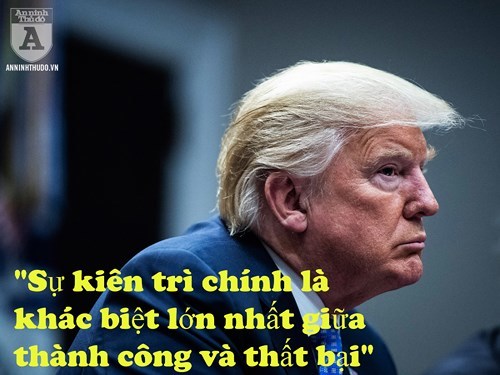 Có một tính cách Donald Trump trong kinh doanh và khởi nghiệp tại Việt Nam