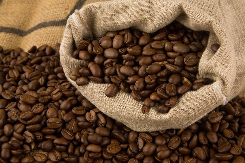 Giá cà phê hôm nay 25/2: Tăng 200 đồng/kg tại tỉnh Gia Lai