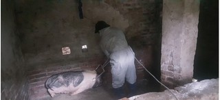 Thái Bình: Số lợn bị tiêu hủy vì dịch tả tiếp tục gia tăng