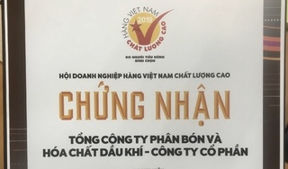PVFCCo tiếp tục được trao tặng danh hiệu Hàng Việt Nam chất lượng cao năm 2019