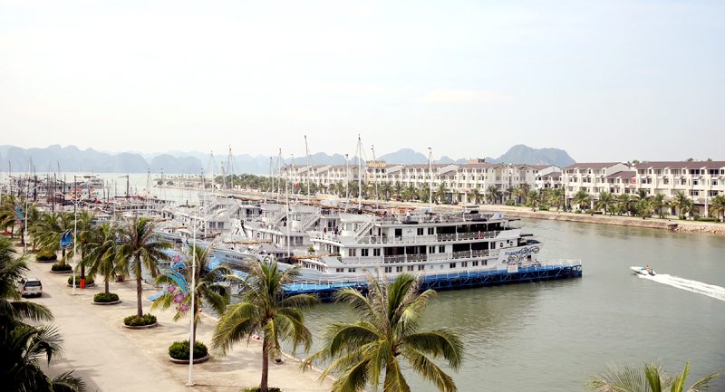 Du khách trượt chân ngã tử vong tại cảng quốc tế Tuần Châu