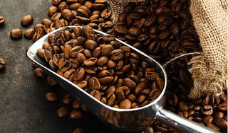 Giá cà phê hôm nay 18/7: Tăng trở lại 500 đồng/kg
