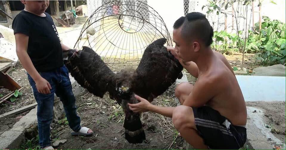 Tam Mao lên tiếng về clip làm thịt chim quý đăng trên Youtube