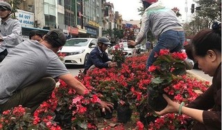 Hôi hoa ở Kim Mã: Bức tranh trần trụi về thói xấu của người Việt