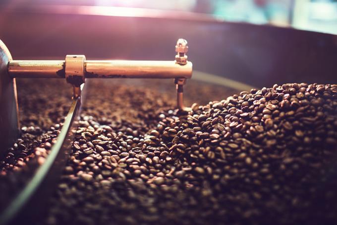 Giá cà phê hôm nay 11/3: Ổn định ở mức 32.700 – 33.400 đồng/kg trong ngày đầu tuần