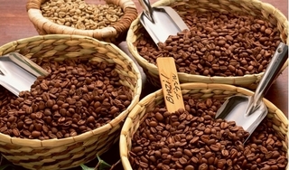 Giá cà phê hôm nay 21/5: Tăng mạnh 700 đồng/kg, dao động ở mức