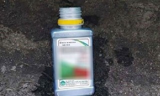 Hải Phòng: Bố ép con trai 5 tuổi uống thuốc diệt cỏ rồi tự tử