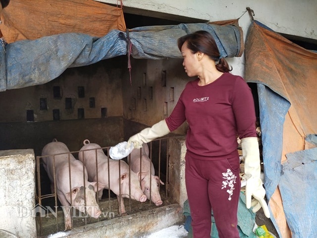 Về vùng dịch tả lợn châu Phi: Dân lo lắng, thịt lợn ở chợ ế ẩm