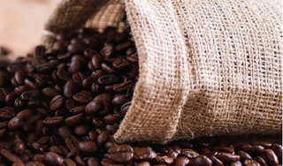 Giá cà phê hôm nay 29/5: Tiếp tục tăng nhẹ thêm 100 đồng/kg