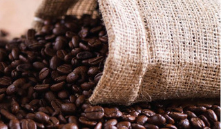 Giá cà phê hôm nay 22/3: Tăng nhẹ, cao nhất 33.000 đồng/kg