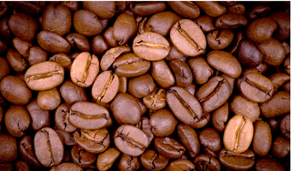 Giá cà phê hôm nay 12/7: Tiếp tục giảm nhẹ 100 đồng/kg