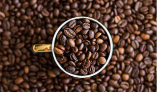 Giá cà phê hôm nay 29/4: Tăng mạnh 400 đồng/kg vào đầu kỳ nghỉ lễ