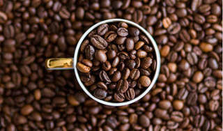 Giá cà phê hôm nay 28/6: Tiếp tục giảm nhẹ thêm 100 đồng/kg