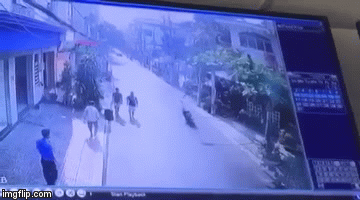 Clip: Người đàn ông 'tung cước' đá tên cướp ngã văng xuống đường