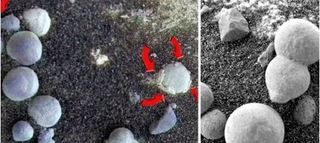 NASA bất ngờ tìm thấy nấm và tảo mọc trên sao Hỏa