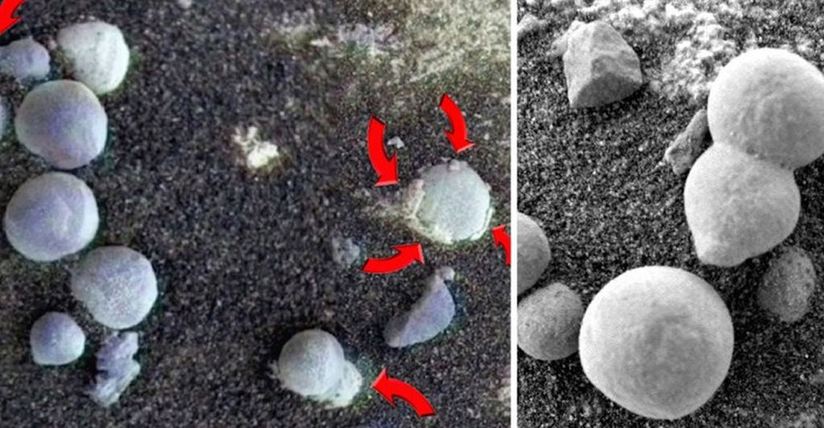  tìm thấy nấm mọc trên sao Hỏa