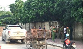 Công an bắt giữ đàn chó cắn bé trai tử vong thương tâm ở Hưng Yên