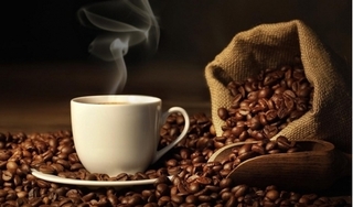 Giá cà phê hôm nay 16/10: Bất ngờ giảm 200 đồng/kg