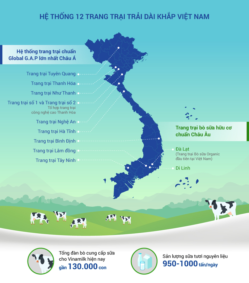Việt Nam sỡ hữu hệ thống trang trại bò sữa chuẩn Global G.A.P lớn nhất chấu Á