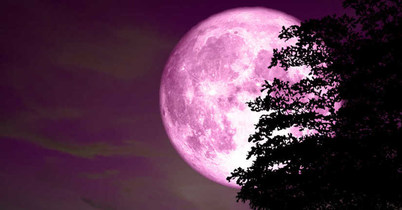 Hôm nay, hiện tượng trăng hồng độc đáo sẽ xuất hiện