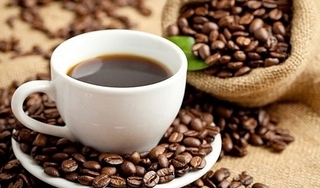 Giá cà phê hôm nay 20/4: Giữ nguyên giá, dao động từ 30.600 - 31.500
