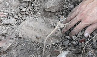 Vụ nhà máy rác chôn cất xác thai nhi: Thành lập tổ kiểm tra mẫu vật