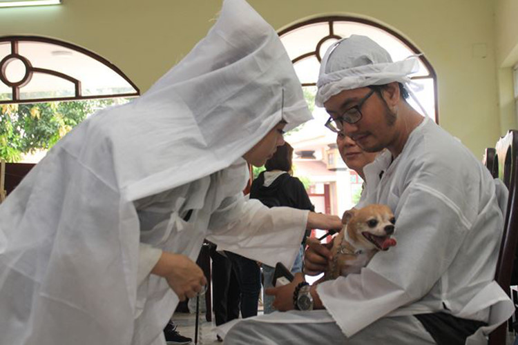Nghẹn ngào chú chó buộc tang trắng, túc trực bên linh cữu cố nghệ sĩ Lê Bình