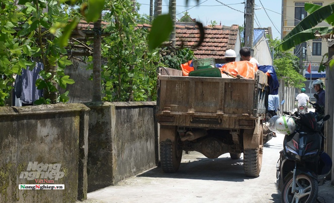 Nam Định: Bàn chuyện mua đất chôn lợn