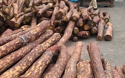 Bắt hơn 10 tấn gỗ quý từ Ấn Độ tại cảng Hải Phòng.