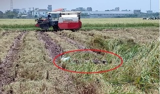 Đã xác định được danh tính người đàn ông tử vong dưới ruộng lúa ở Nam Định