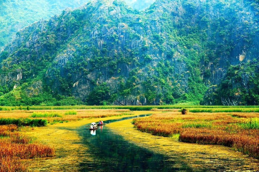 Địa điểm ngắm ‘Mùa vàng Tam Cốc’ đẹp nhất Ninh Bình