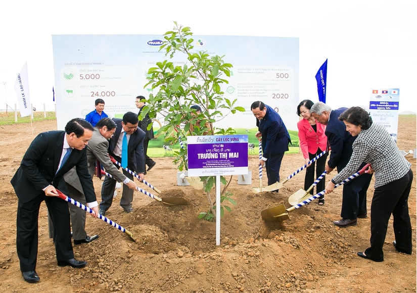 Vinamilk Liên doanh với doanh nghiệp Lào và Nhật Bản khởi công xây dựng tổ hợp ‘resort’ bò sữa Organic quy mô 5.000ha tại Lào