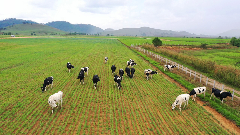 Vinamilk Liên doanh với doanh nghiệp Lào và Nhật Bản khởi công xây dựng tổ hợp ‘resort’ bò sữa Organic quy mô 5.000ha tại Lào