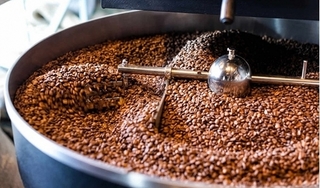 Giá cà phê hôm nay 6/9: Giảm mạnh 600 đồng/kg theo đà của thế giới