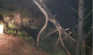 Xe bán tải lao xuống hồ chìm nghỉm, tài xế tử vong 