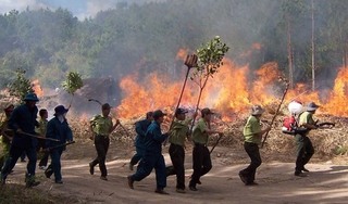 Đốt thực bì để trồng rừng, một y sĩ ở Quảng Trị ngạt khí tử vong