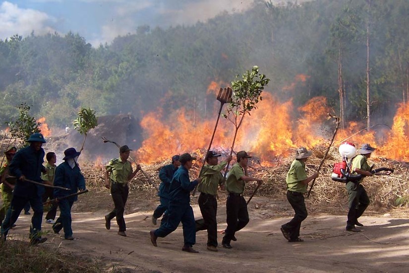 Đốt thực bì để trồng rừng, một y sĩ ở Quảng Bình ngạt khí tử vong