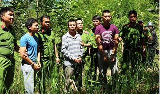 Chân dung kẻ thủ ác hạ độc hơn 10 ha rừng thông 20 năm tuổi ở Lâm Đồng