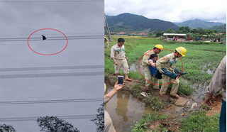 Sơn La: Lạnh người giải cứu nam thanh niên vắt vẻo trên dây điện cao thế 500KV 