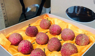 Vải thiều Lục Ngạn (Bắc Giang) 12 quả giá 200.000 đồng được trồng thế nào?