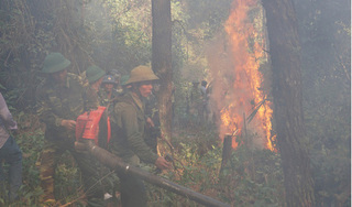 Cháy rừng ở Hà Tĩnh: Hai cây xăng gần đám cháy nơm nớp lo sợ