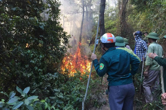 Cháy rừng ở Hà Tĩnh: Hai cây xăng gần đám cháy nơm nớp lo sợ