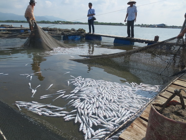 Tin tức thới sự 24h nóng nhất, mới nhất hôm nay thứ 6 ngày 5/7/2019